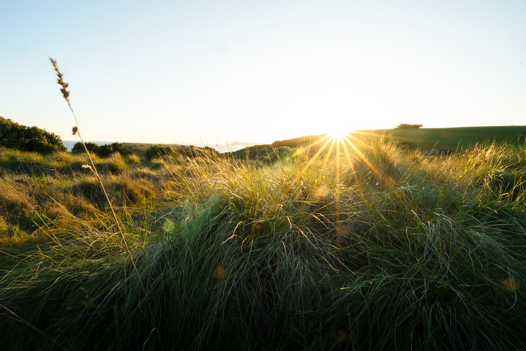 Australian Sunset