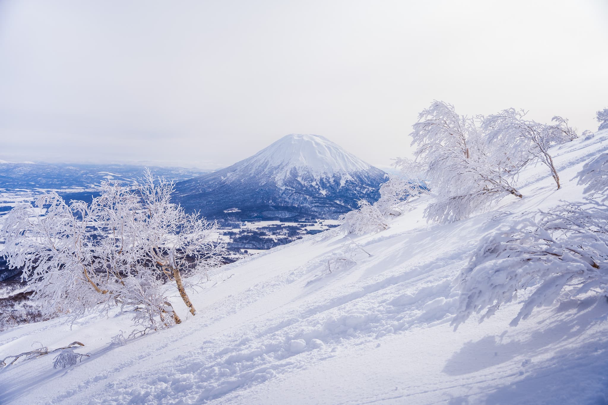Essential Gear for Outdoor Nature Photography